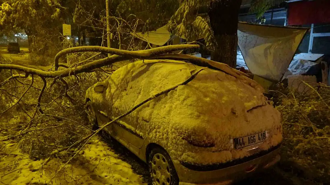 Malatya'da kardan kırılan ağaç dalları araçların üzerine devrildi