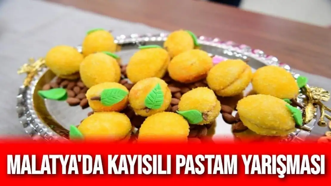 Malatya´da Kayısılı Pastam yarışması