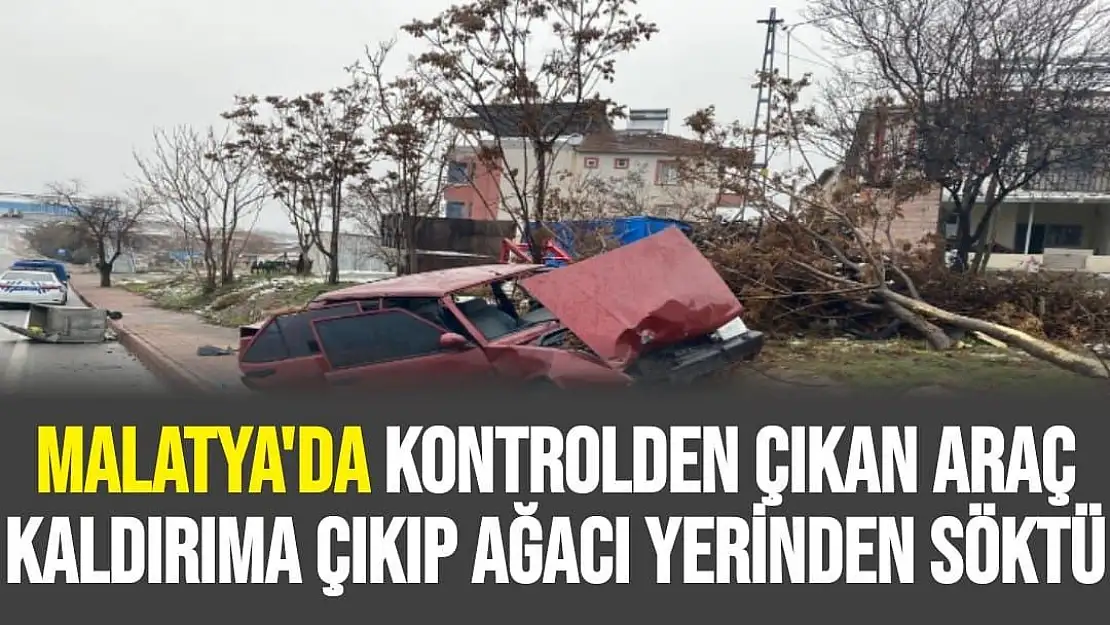 Malatya'da Kontrolden çıkan araç kaldırıma çıkıp ağacı yerinden söktü