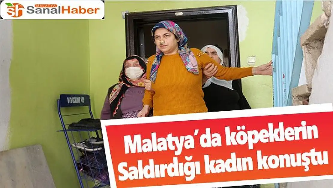 Malatya'da köpeklerin saldırdığı kadın konuştu