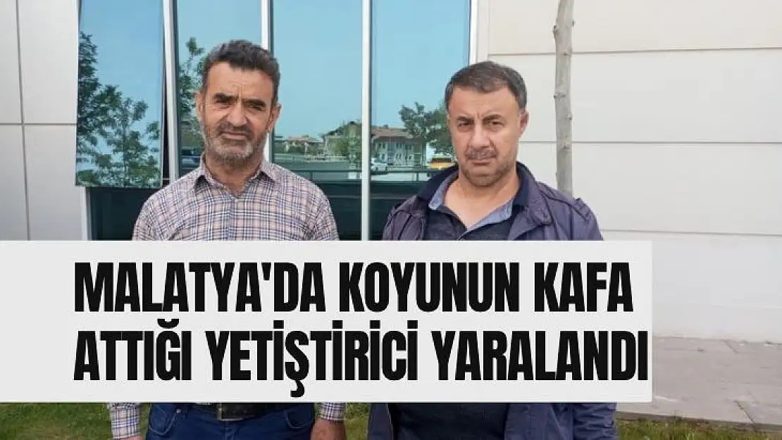 Malatya'da Koyunun kafa attığı yetiştirici yaralandı