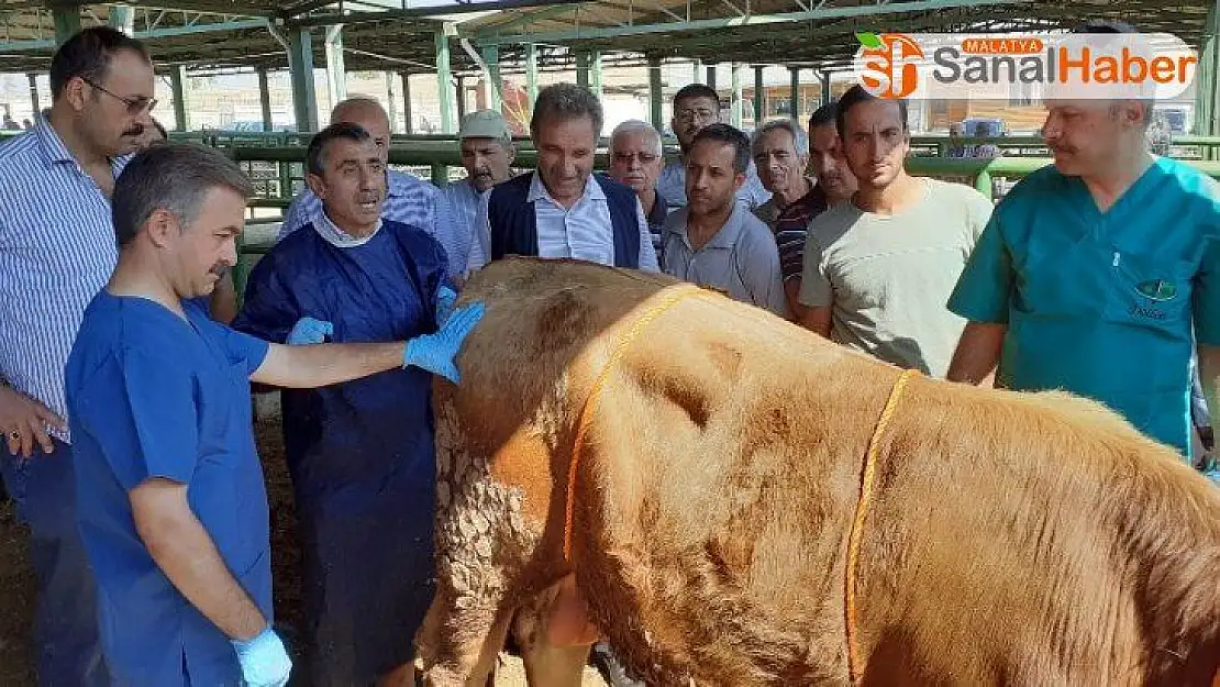 Malatya'da kurban kesim kursu düzenlendi