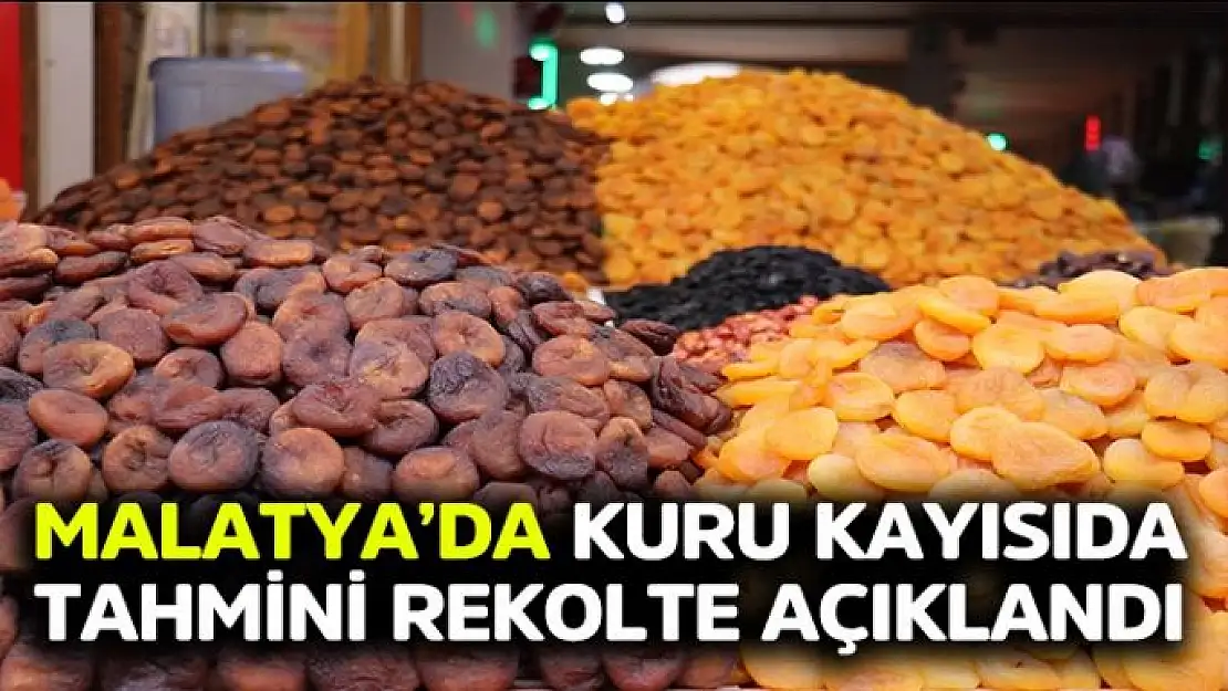 Malatya´da kuru kayısıda tahmini rekolte açıklandı