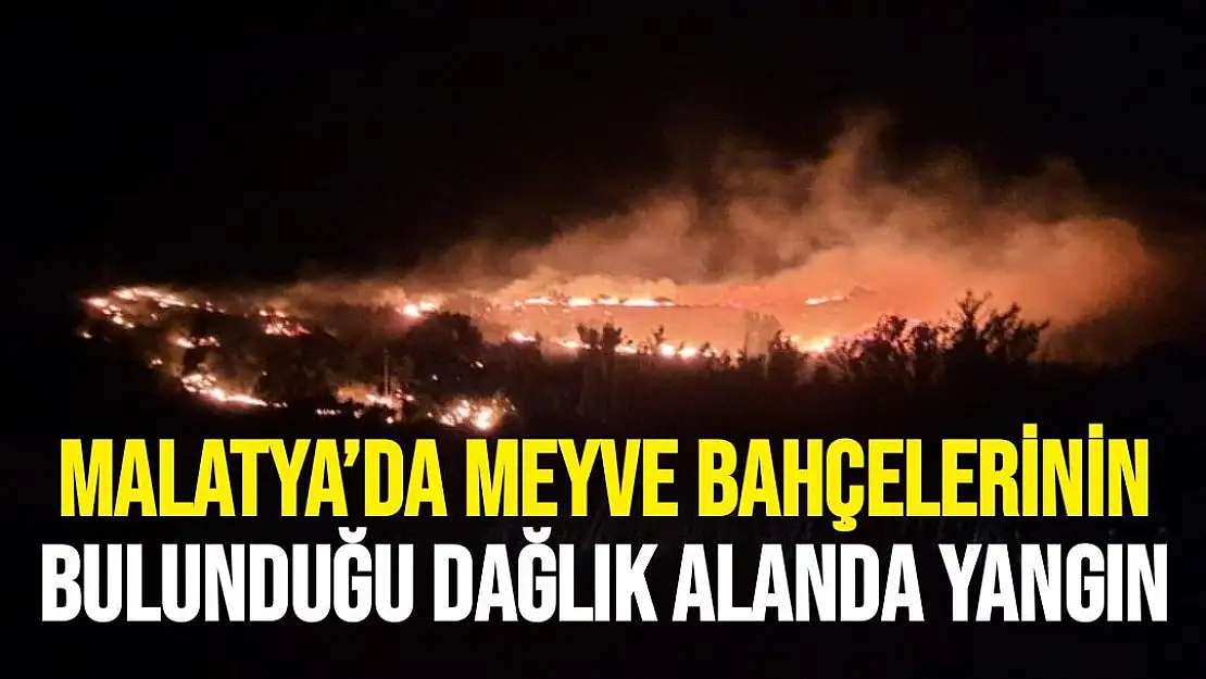 Malatya´da meyve bahçelerinin bulunduğu dağlık alanda yangın