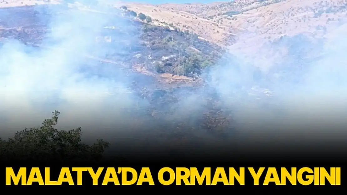 Malatya´da orman yangını