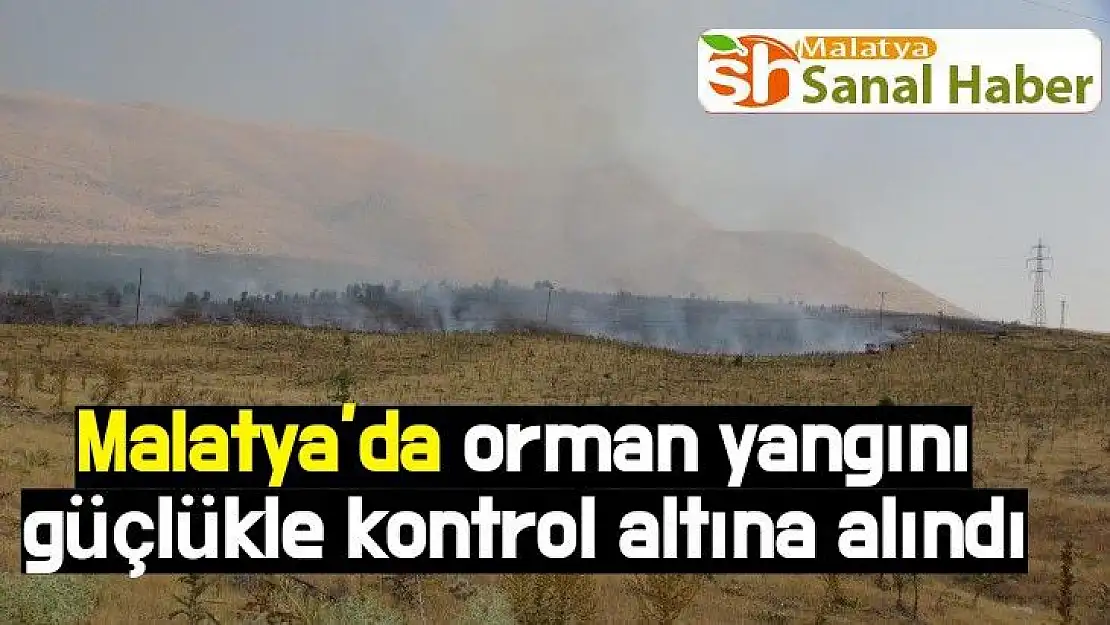 Malatya´da orman yangını güçlükle kontrol altına alındı