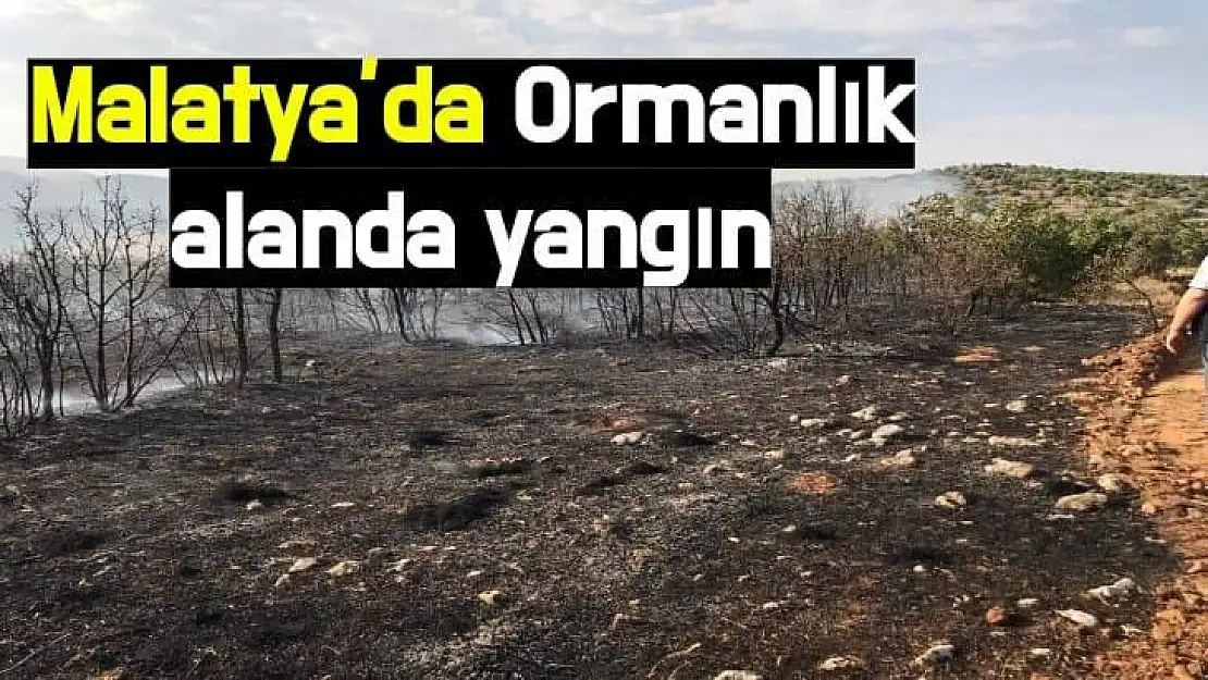 Malatya´da Ormanlık alanda yangın
