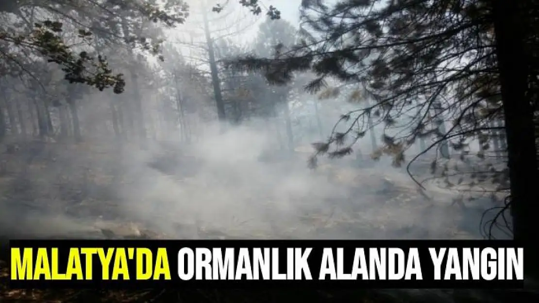 Malatya´da ormanlık alanda yangın