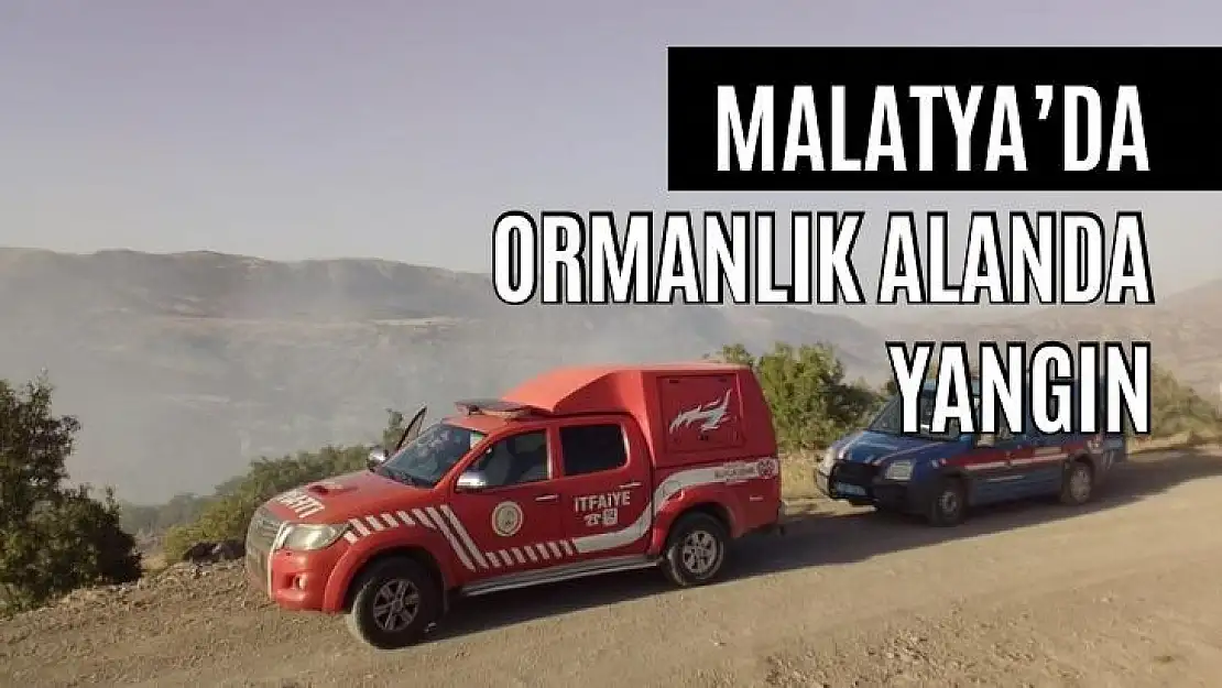 Malatya´da ormanlık alanda yangın