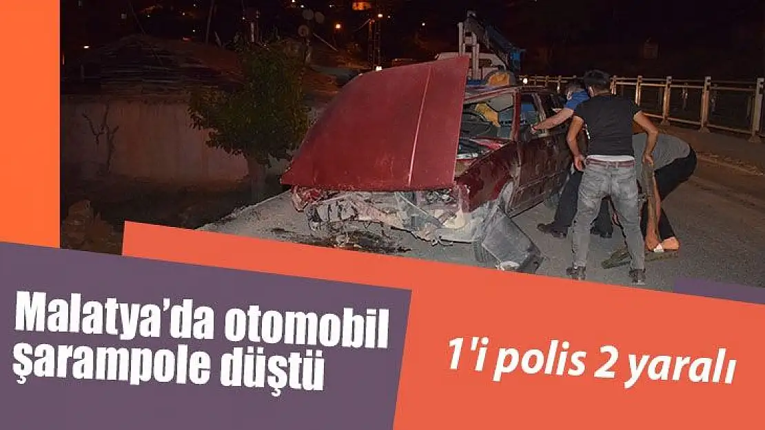 Malatya'da otomobil şarampole düştü