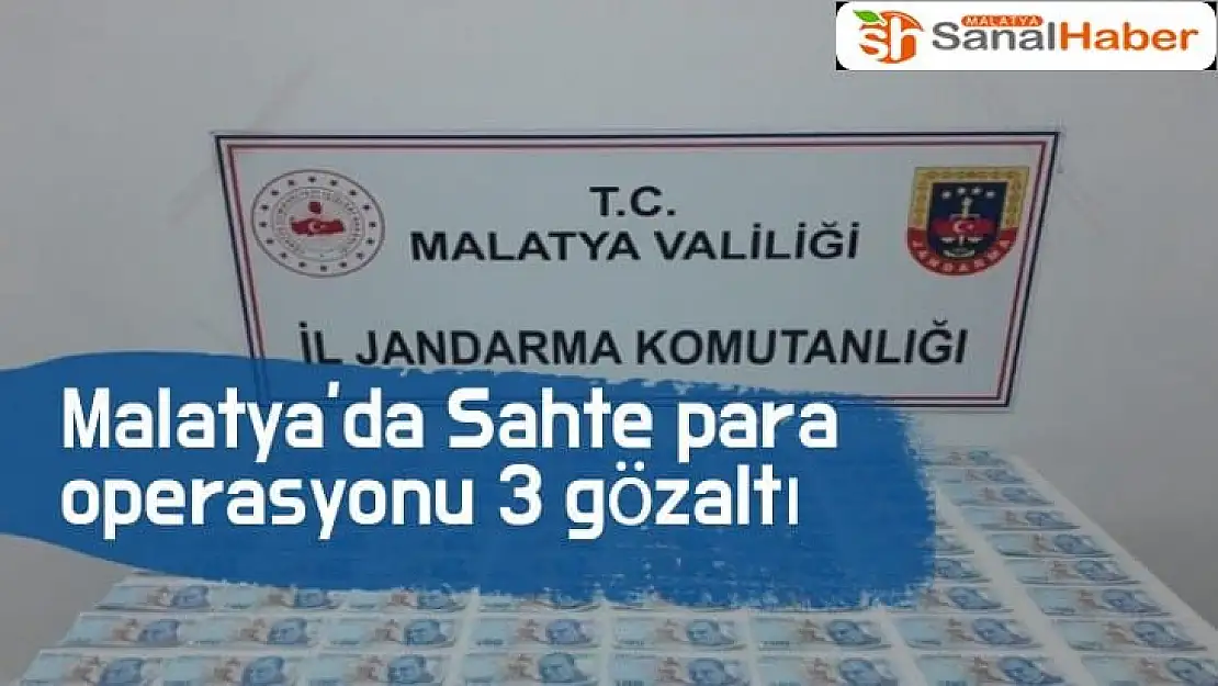 Malatya'da Sahte para operasyonu 3 gözaltı