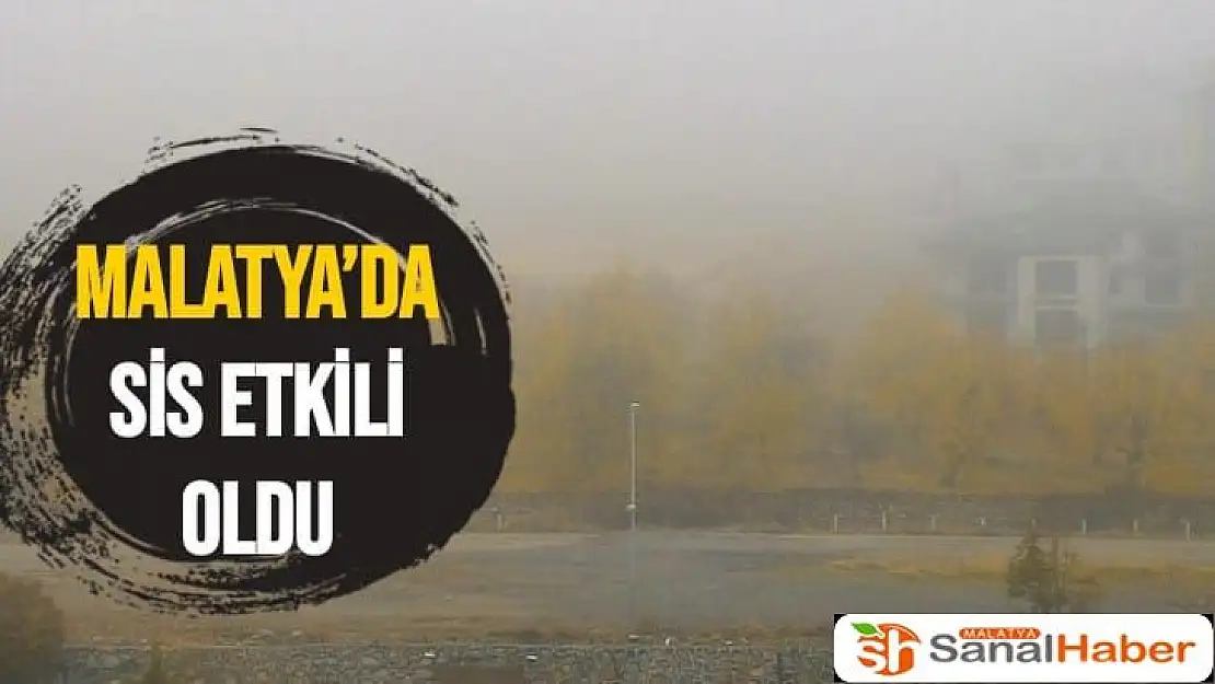 Malatya´da sis etkili oldu