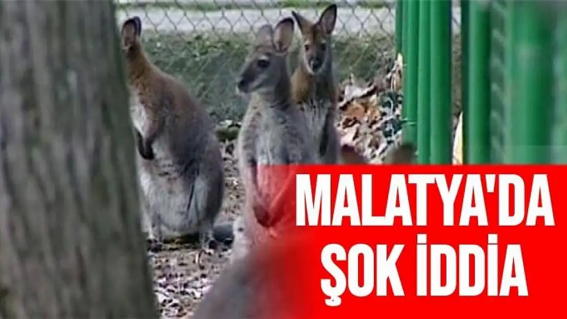 Malatya'da şok iddia