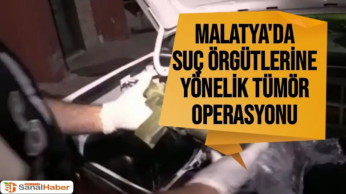 Malatya'da suç örgütlerine yönelik Tümör operasyonu