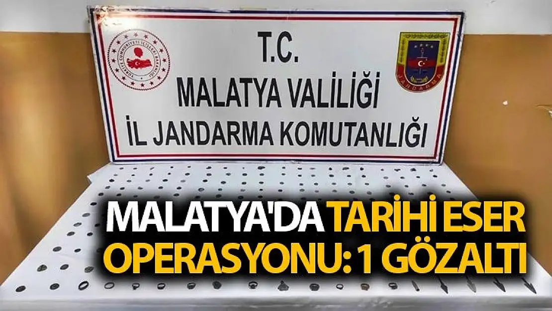 Malatya´da tarihi eser operasyonu