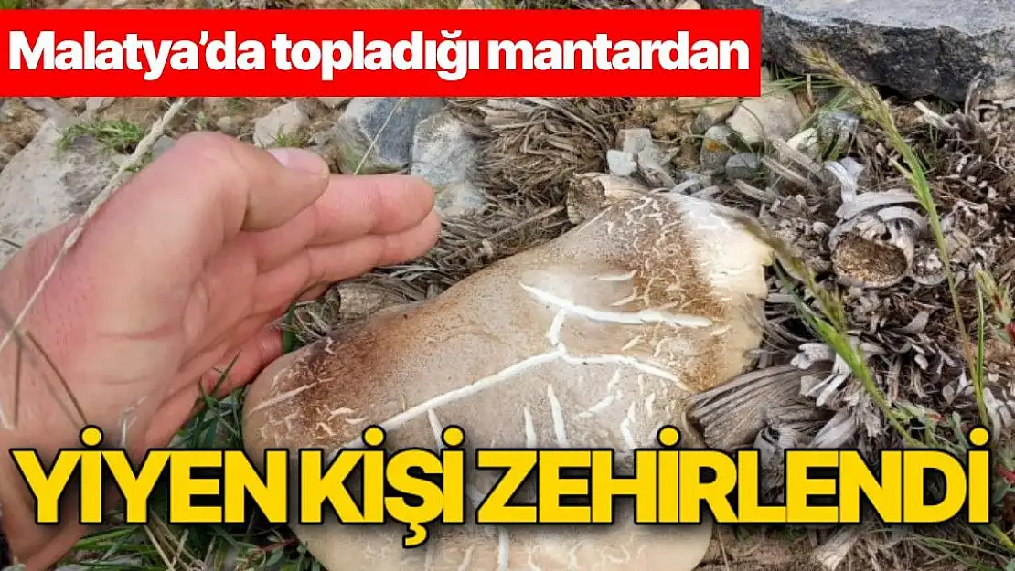 Malatya´da topladığı mantardan yiyen kişi zehirlendi