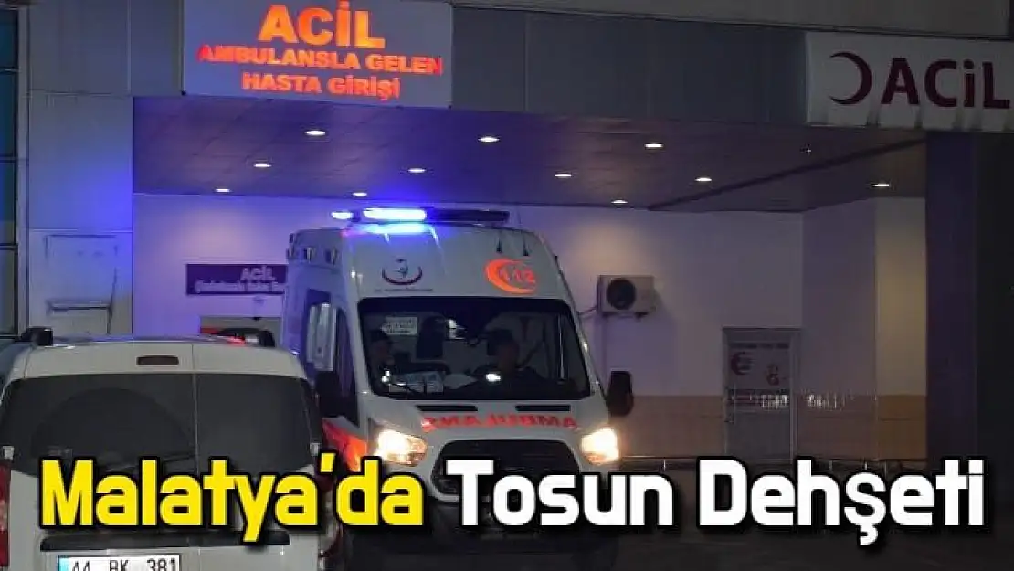 Malatya'da tosun dehşeti