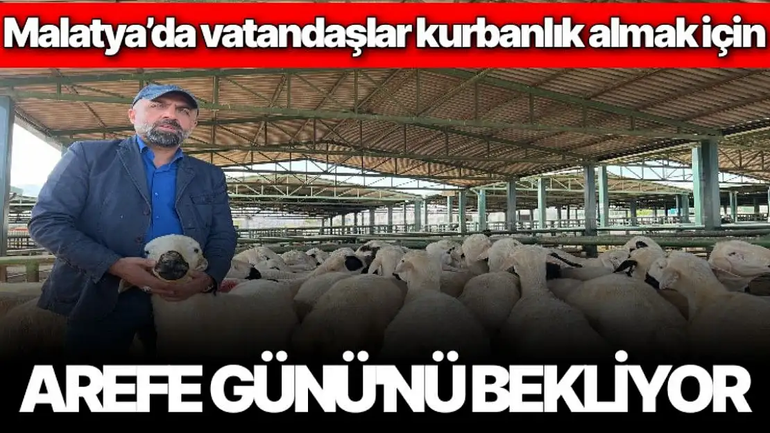 Malatya´da vatandaşlar kurbanlık almak için Arefe Günü´nü bekliyor