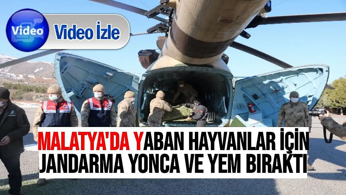 Malatya'da yaban hayvanlar için jandarma yonca ve yem bıraktı