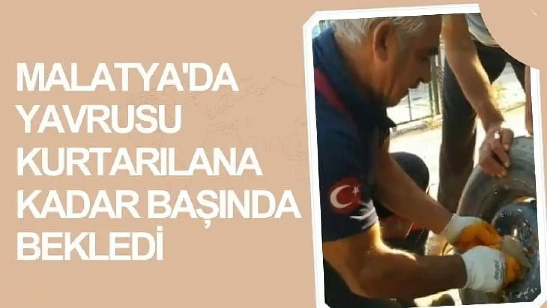 Malatya'da Yavrusu kurtarılana kadar başında bekledi