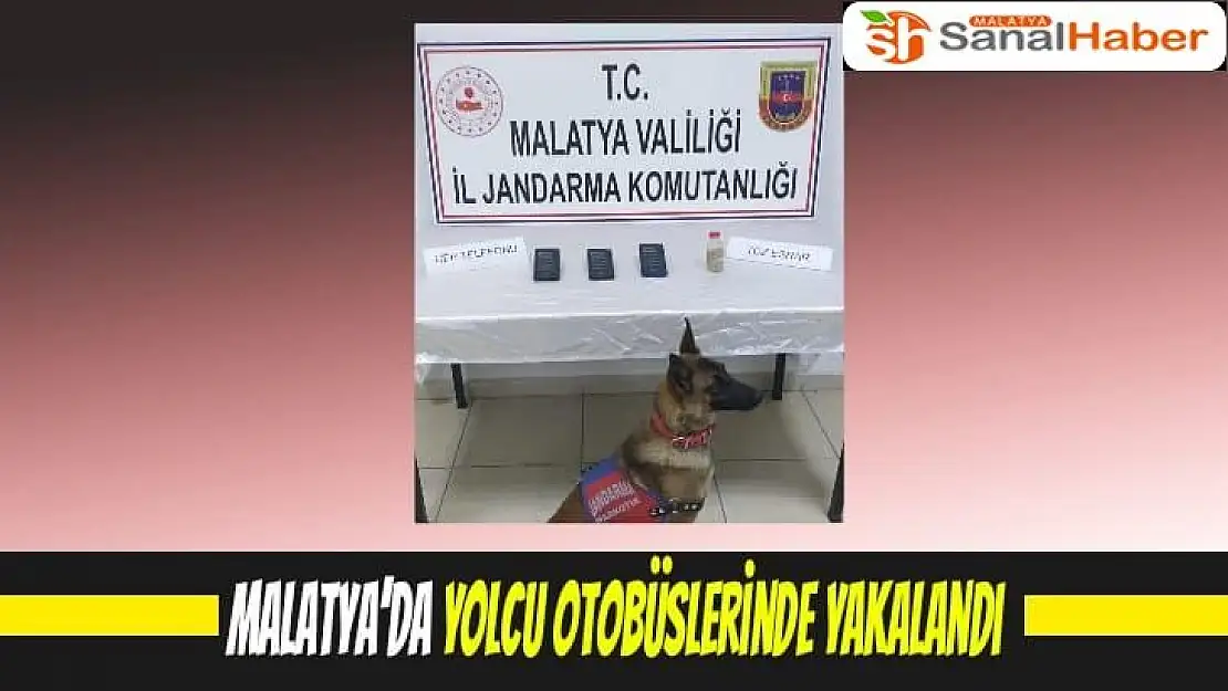 Malatya´da yolcu otobüslerinde yakalandı