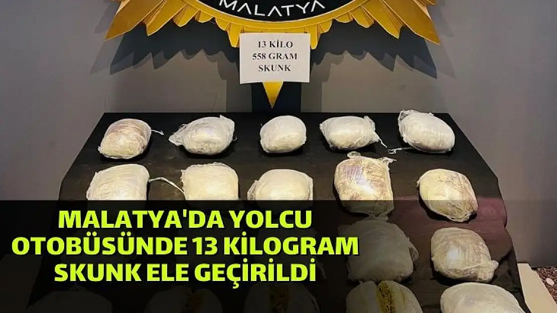 Malatya'da yolcu otobüsünde 13 kilogram skunk ele geçirildi