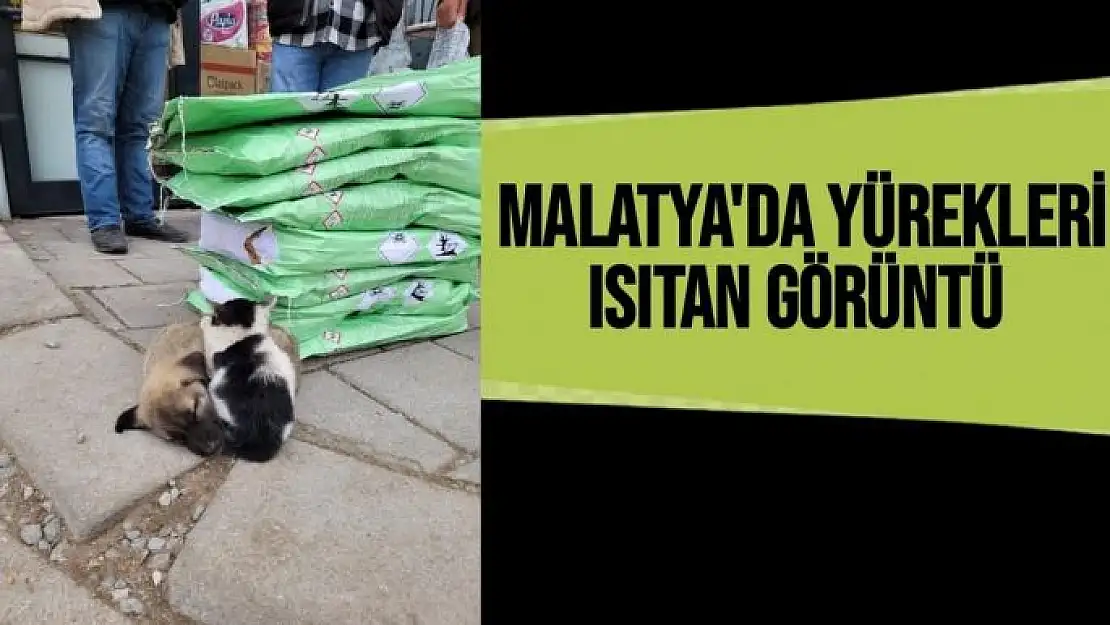 Malatya'da yürekleri ısıtan görüntü