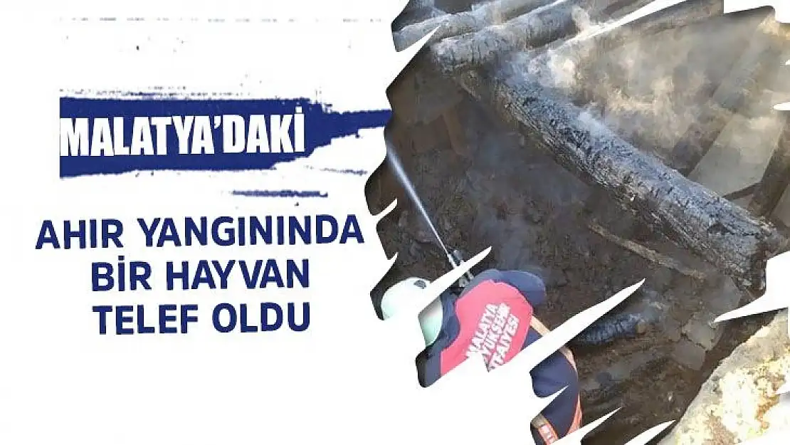 Malatya'daki ahır yangınında bir hayvan telef oldu