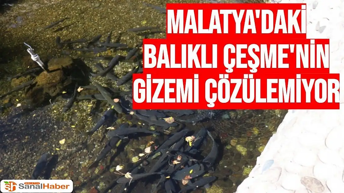 Malatya'daki Balıklı Çeşme'nin gizemi çözülemiyor