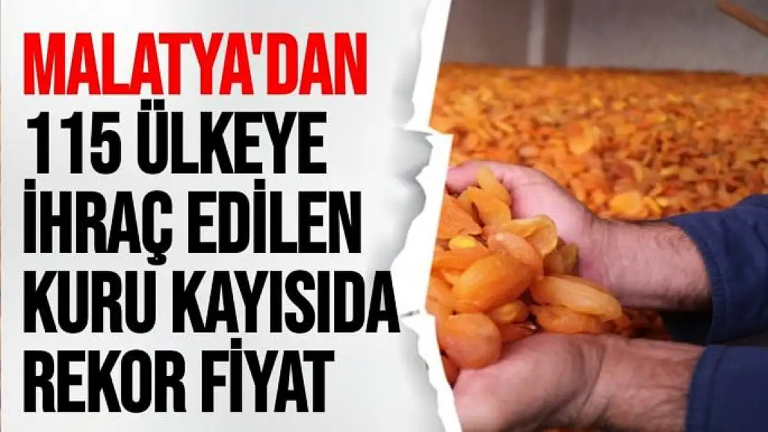 Malatya'dan 115 ülkeye ihraç edilen kuru kayısıda rekor fiyat