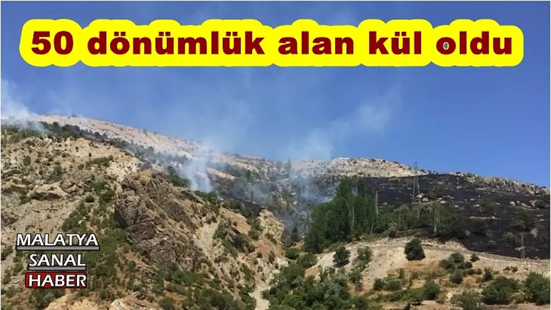 50 dönümlük alan kül oldu