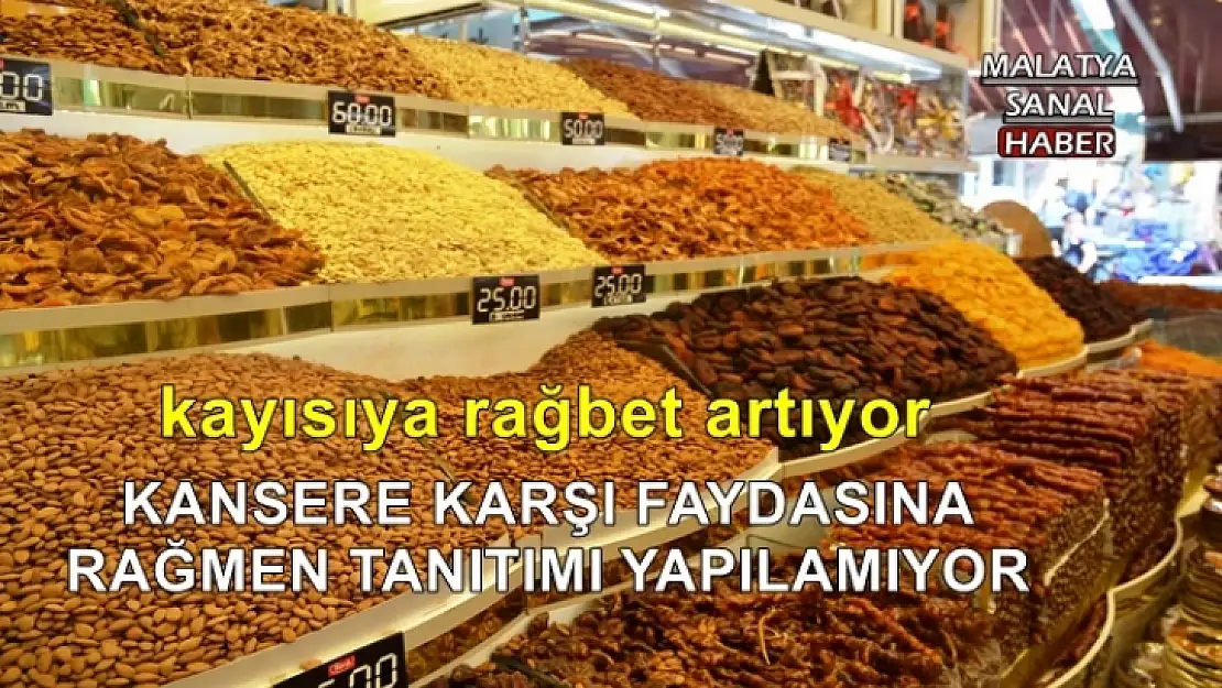 KANSERE KARŞI FAYDASINA RAĞMEN TANITIMI YAPILAMIYOR