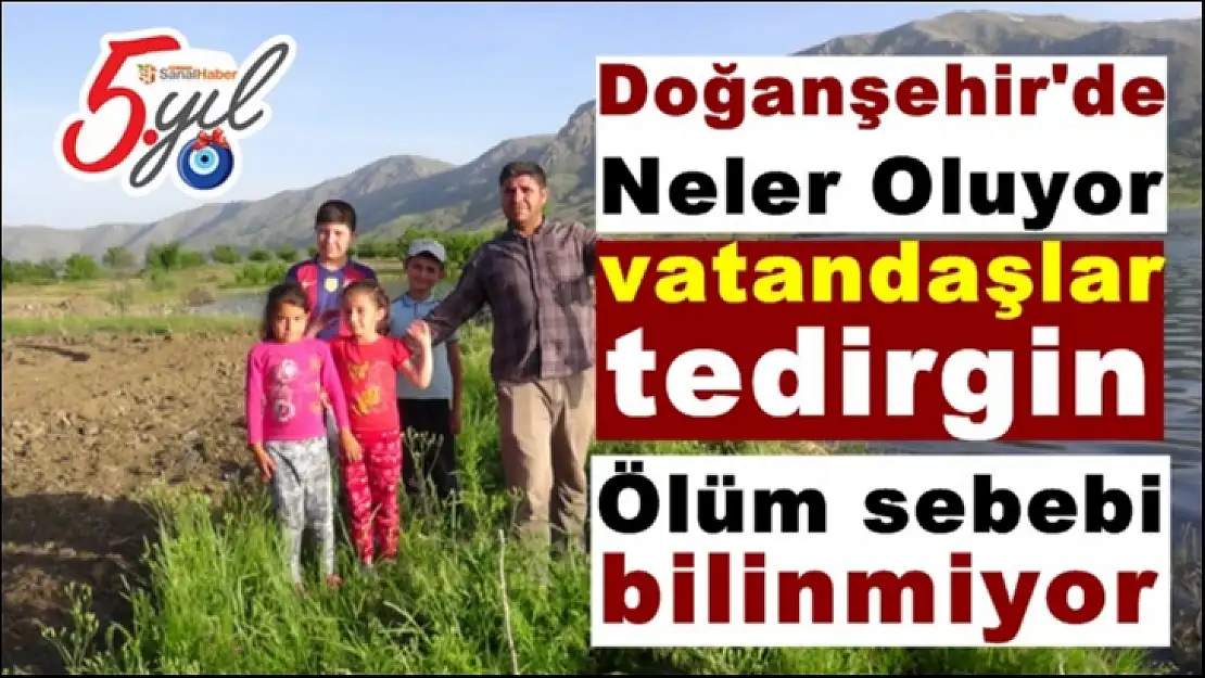 Doğanşehir'de Neler Oluyor