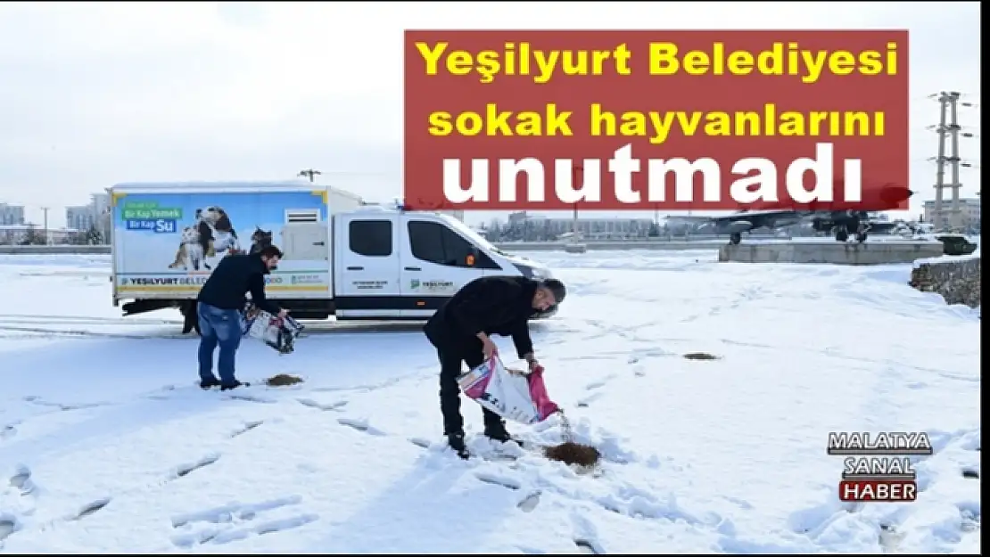 Yeşilyurt Belediyesi sokak hayvanlarını unutmadı