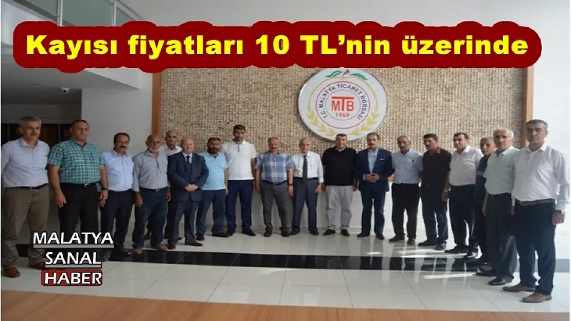 Kayısı fiyatları 10 TL´nin üzerinde