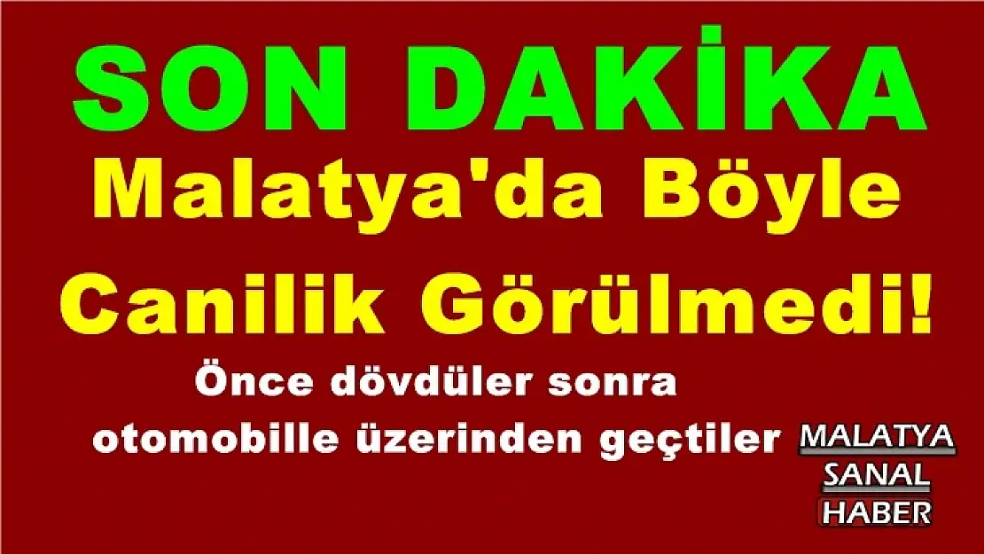Malatya'da Böyle  Canilik Görülmedi!