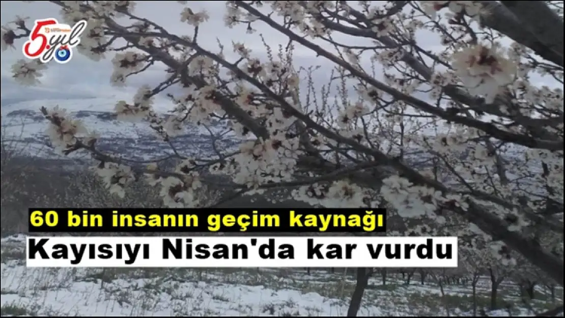 Kayısıyı Nisan'da kar vurdu