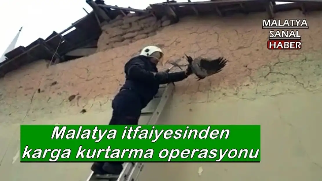 Malatya itfaiyesinden karga kurtarma operasyonu