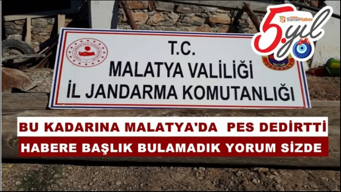 Bu kadarına Malatya'da pes dedirtti