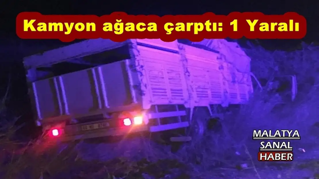 Kamyon ağaca çarptı: 1 Yaralı