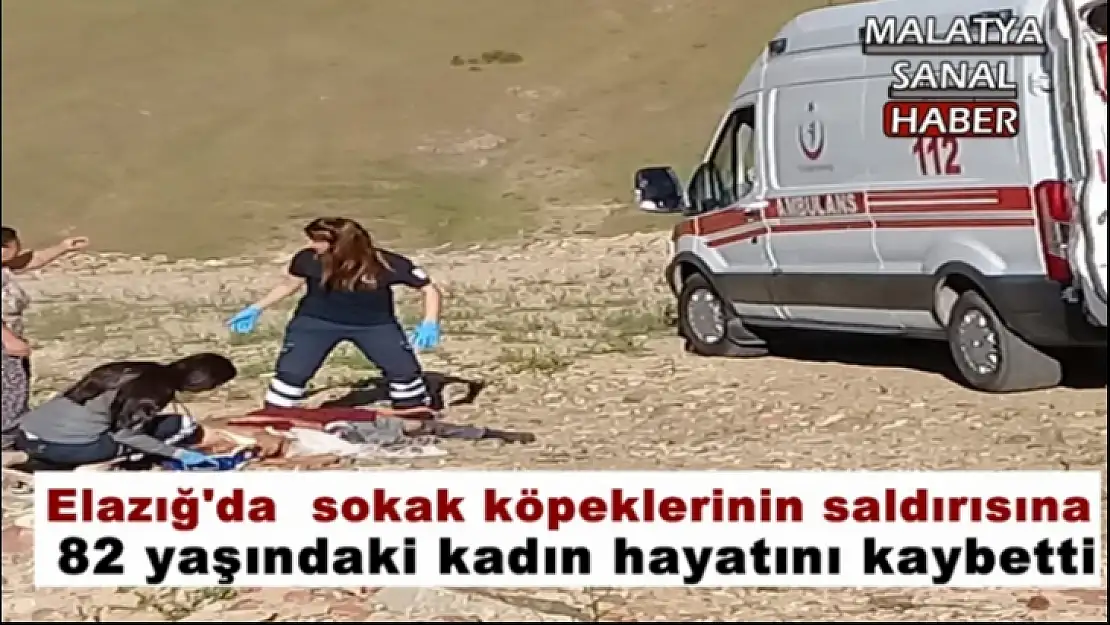 Elazığ'da Sokak köpeklerinin saldırdığı yaşlı kadın öldü