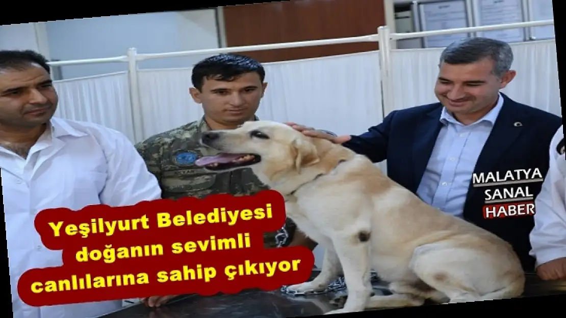 Yeşilyurt Belediyesi doğanın sevimli canlılarına sahip çıkıyor