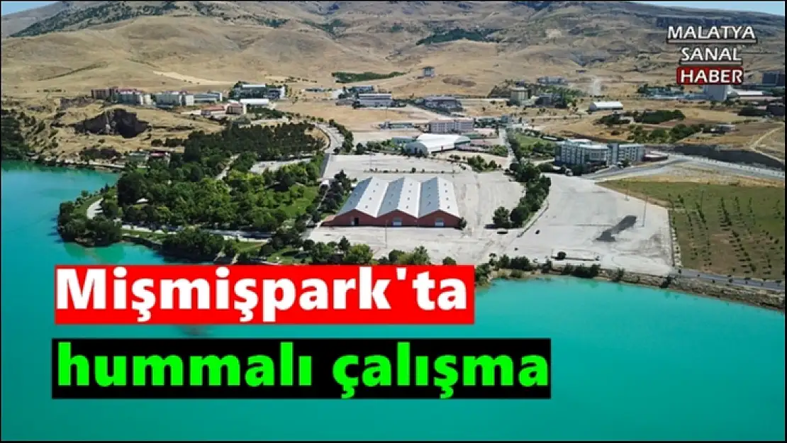 Mişmişpark'ta hummalı çalışma