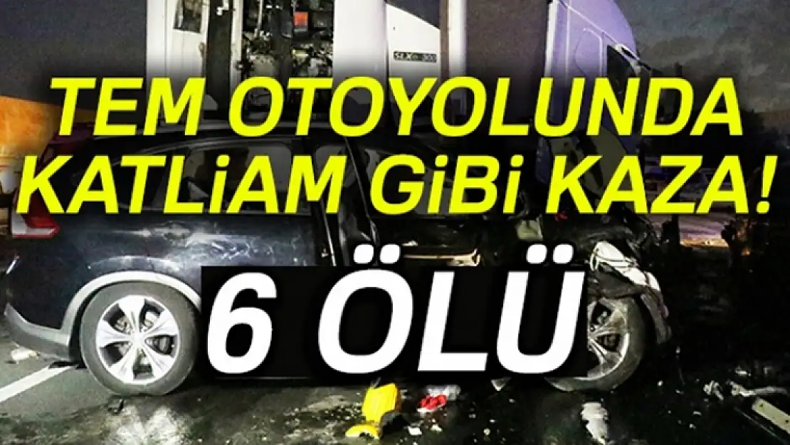 Feci kaza: 6 ölü, 3 yaralı