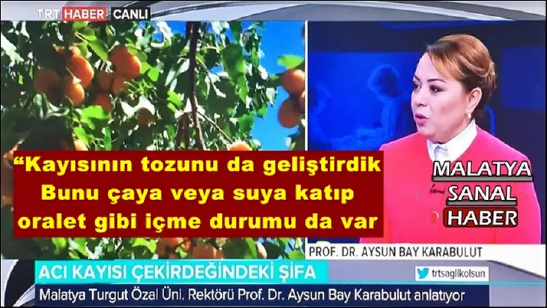 Kayısıyı oralet gibi içeceğiz