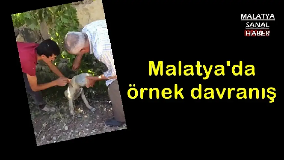Malatya'da  örnek davranış