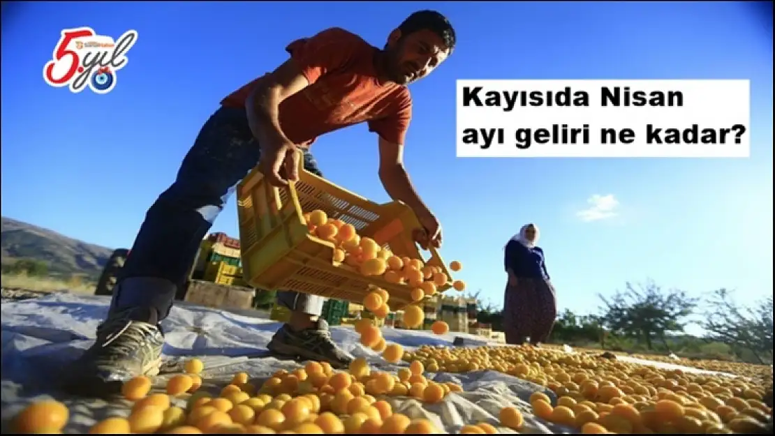 Kayısıda Nisan ayı geliri ne kadar?