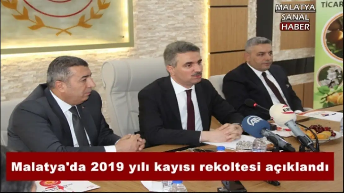 Malatya´da 2019 yılı kayısı rekoltesi açıklandı