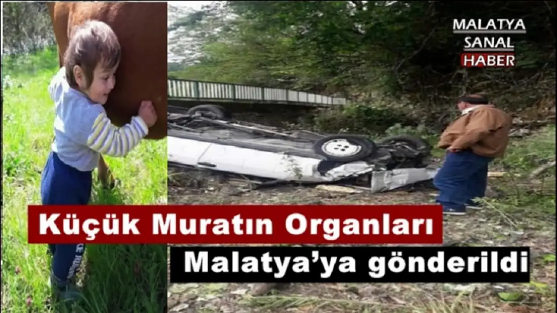 Küçük Muratın Organları Malatya´ya gönderildi