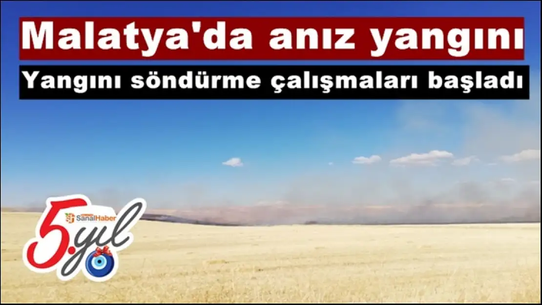 Malatya´da anız yangını